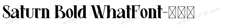 Saturn Bold WhatFont字体转换